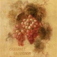 10月22日香貝田酒窖“百嘗葡萄酒教室”品種探索之---Cabernet Sauvignon