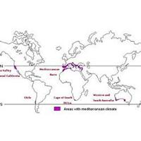 美食记小桌探索--海洋性气候产区（Wine regions with Maritime climates）