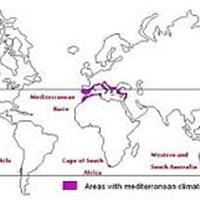 美食记小桌探索--大陆性气候产区（Wine regions with Continental climates）