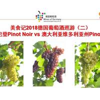 美食记2018德国葡萄酒巡游（二）  德国巴登Pinot Noir vs 澳大利亚维州Pinot Noir