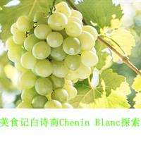 美食记产区和葡萄品种探索（131）-- 黑土地上的白诗南Chenin Blanc（于连小局）