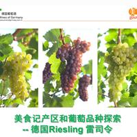 美食记产区和葡萄品种探索（180）------ 无Riesling不夏天之德国雷司令