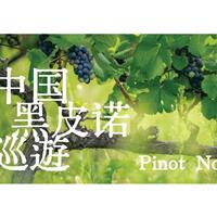 美食记产区和品种探索（202）-- 中国黑皮诺巡游 Pinot Noir of China