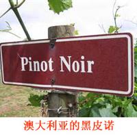 美食记产区和葡萄品种探索（204）--澳大利亚Pinot Noir黑皮诺