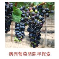 美食记产区和品种探索（207）--- 陈年后的澳洲西拉Shiraz